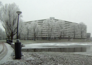 Grubbehoeve winterbeeld