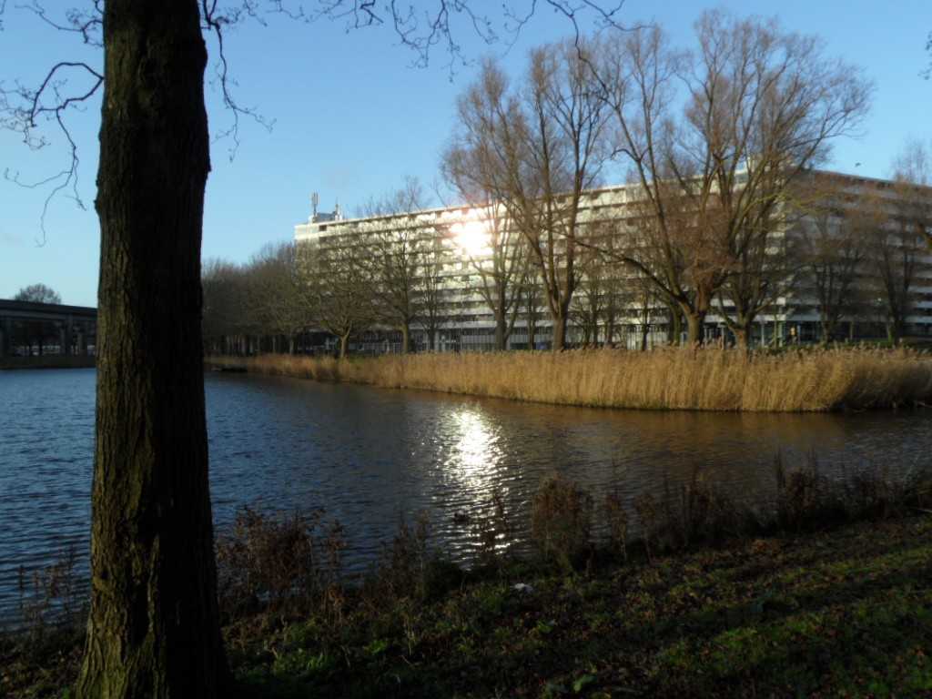 Midwinterzon op Grubbehoeve 23 december 2019